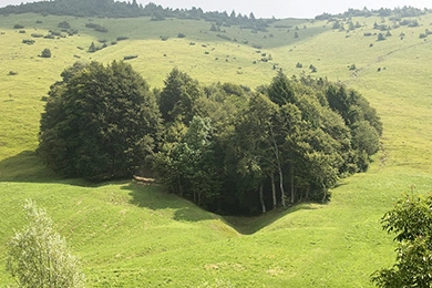 Bossico am Iseosee